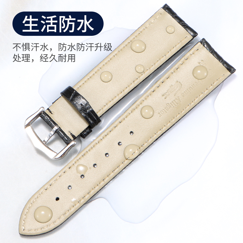Kompatibel dengan tali jam tan - Cartier Watch Tank ulasan dan harga